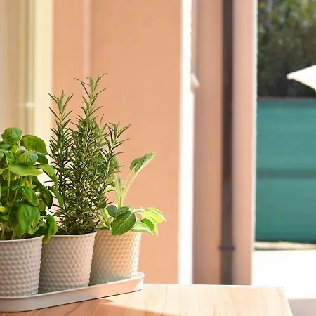 Dina - Disabled Friendly Vila Labin (Istria)